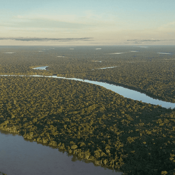 Amazonas