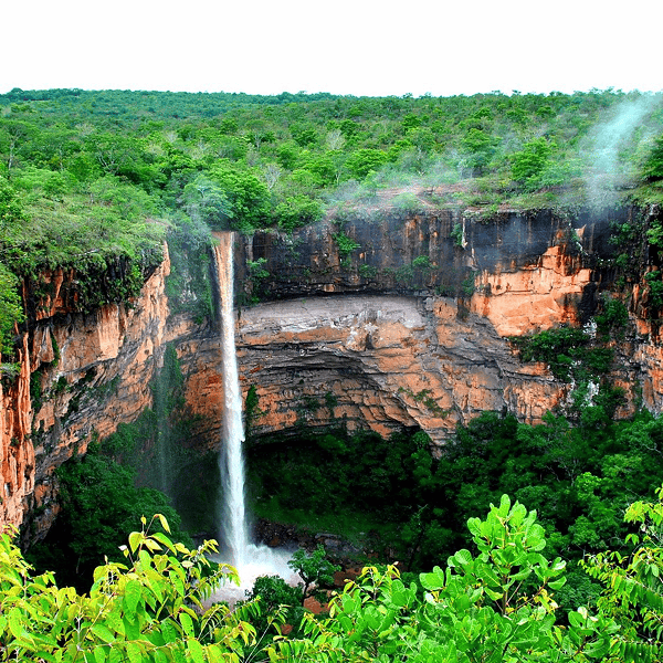 Mato Grosso
